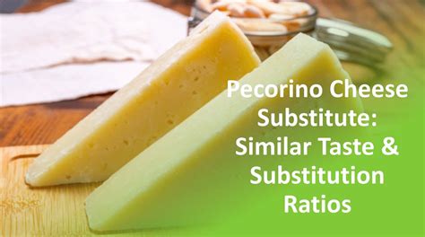 7 Recommended Substitutes For Monterey Jack Cheese