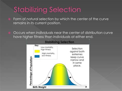 Explain Stabilizing Selection