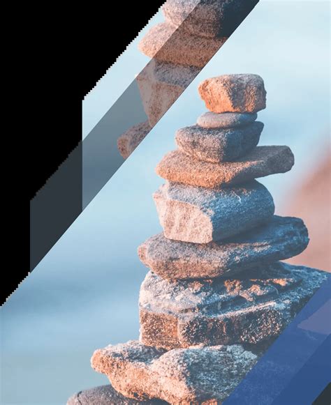 DWS Tax-Exempt Portfolio - DWS Tax-Exempt Money Fund