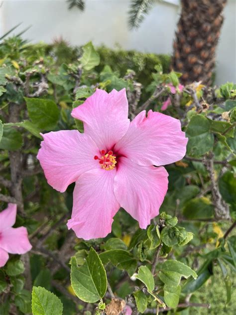 Secrets St Martin Resort Review: A Hidden Paradise in the Caribbean