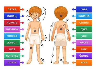 Image result for Functiona Testing Questions