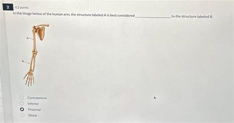 Image result for Contralateral Arm