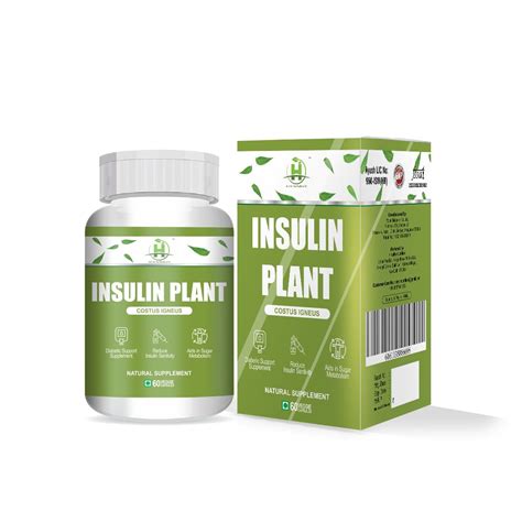 Healthy Nutrition - Just for the Health of it Insulin Plant (Costus ...