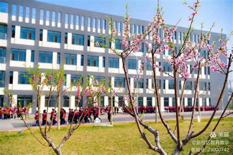 2018年泰安第一中学全国排名第152名 山东省排名第4名_初三网