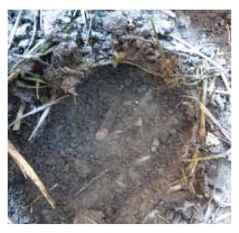Application of a Drone Magnetometer System to Military Mine Detection ...