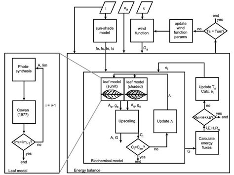 Transpiration in plants through a flow chart alongwith all necessary ...