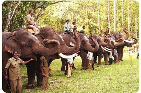 TOPSLIP ANAMALAI TIGER RESERVE (2025) All You Need to Know BEFORE You ...