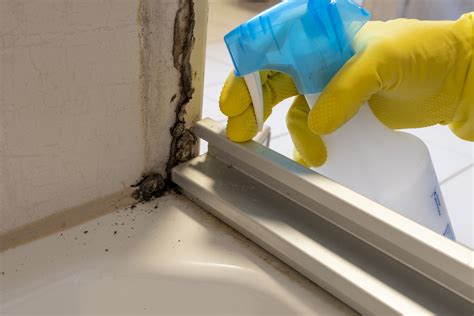 How to Remove Mold From Shower Caulking - Silicone Depot