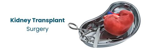 Comment s'ajuster après une chirurgie de transplantation rénale ...