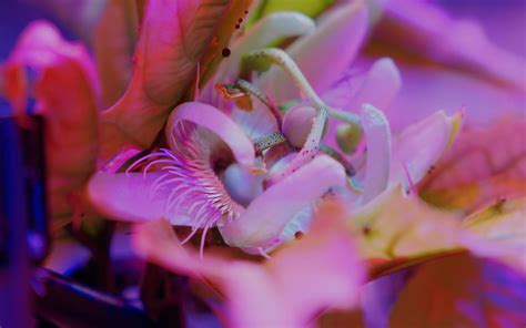 Image result for Interstellar Lab