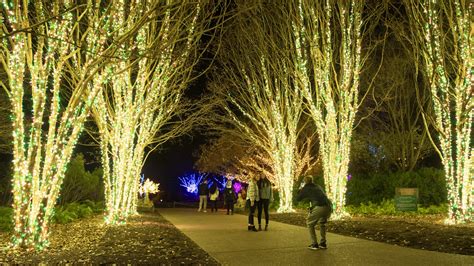 Holiday LIGHTS 2022 returns to Cheekwood Estate + Gardens - NASHtoday