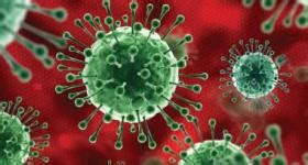 Home | Assam State Agricultural Marketing Board | Government Of Assam ...