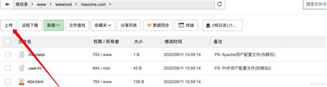 【苹果cms V10教程】资源采集站如何设置定时采集详细教程讲解 | 思德心语