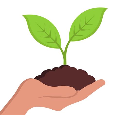 Hand holding plant Vectors - Download Free High-Quality Vectors from ...
