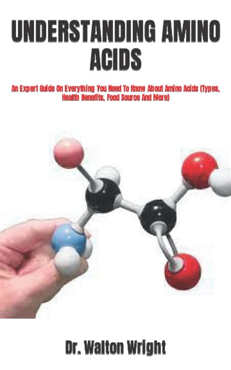 Buy UNDERSTANDING AMINO S: An Expert Guide On Everything You Need To ...