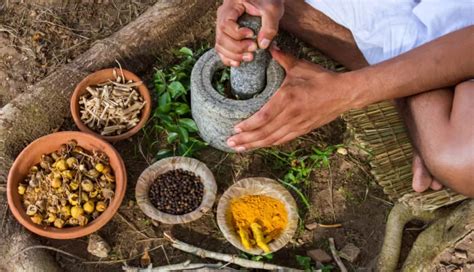 11 Herbs That Helps To Control Diabetes - lifeberrys.com