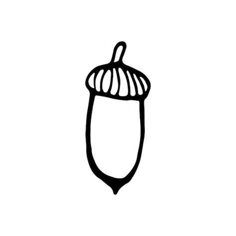 Einzelne handgezeichnete Eichel für die Herbstdekoration. Doodle-Vektor ...