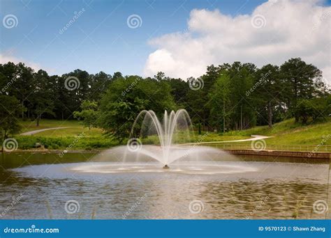 Image result for Spring Time Video Reflection