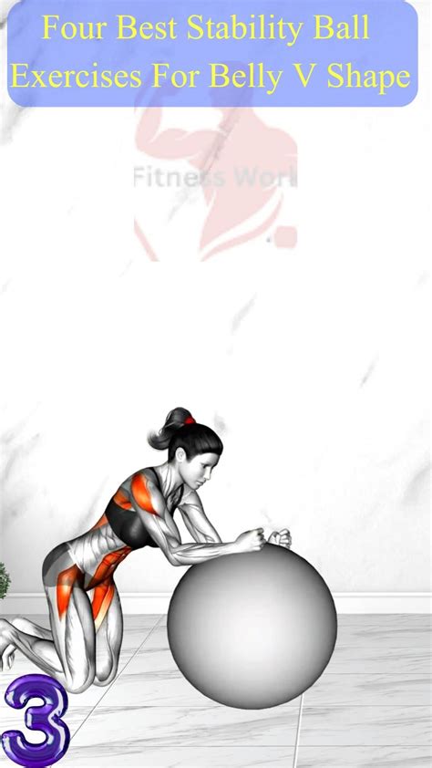 Image result for Stability Ball Back Exercises