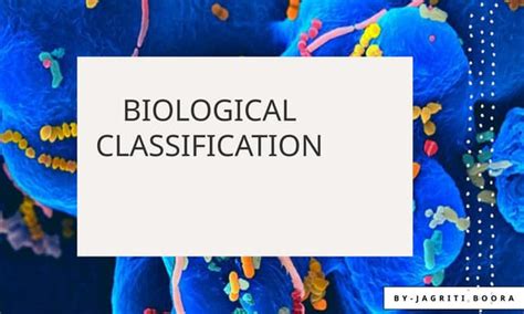 Image result for Biological Classification Class 11 Animation