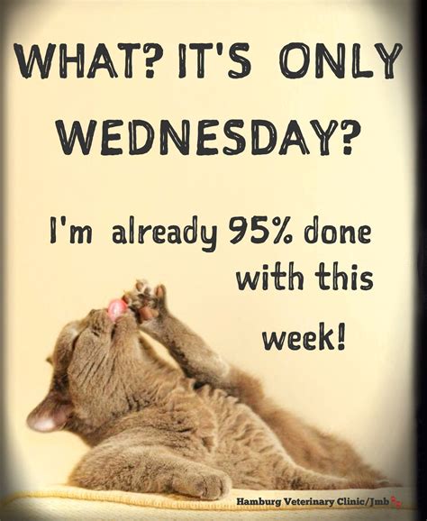 Wednesday Humor - Happy Hump Day! 🐪 Mid week: Halfway there! Animal ...