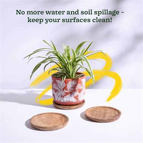 Buy Premium Wooden Planters for Plants | Stylish & Eco-Friendly – Ugaoo