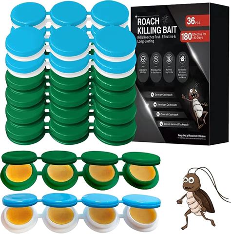 Cockroach Infestation Solutions 的图像结果