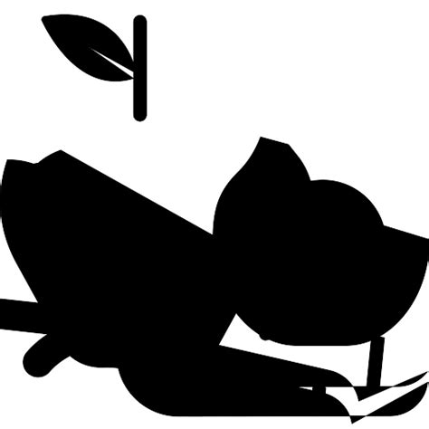 IFDC - Indian Freeze Drying Corp