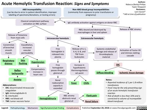 Acute Hemolytic Transfusion Reactions: Signs and Symptoms | Calgary Guide