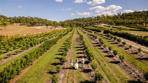 The Salty Lime Co | Ecotourism Australia