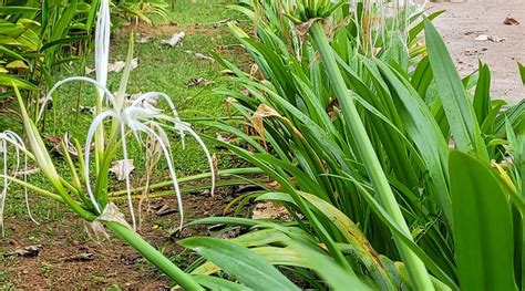 DEV RESIDENCY (Attingal) - Specialty Hotel Reviews, Photos, Rate ...