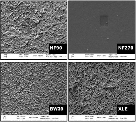 Characterization of Selected Polymeric Membranes Used in the Separation ...