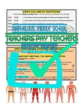 Image result for Crash Course Nervous System