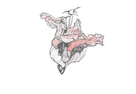 "Palaash 6": Orange Red Archival Ink Drawing by Shikha Baheti – ArtZolo.com