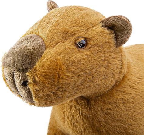 Frankiezhou Home Realistic 16” Capybara Plush Toy for Kids India | Ubuy
