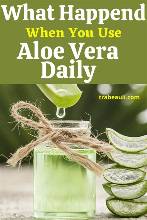 manfaat aloe vera gel herborist