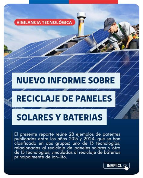 Image result for Inapi Chile