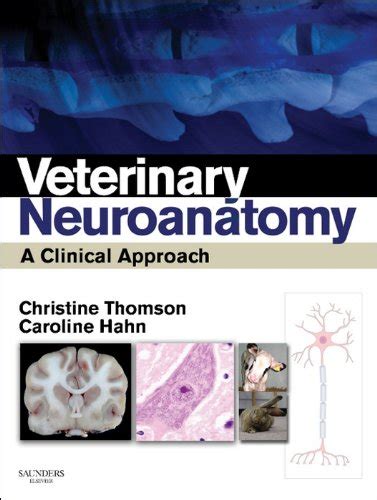 Veterinary Neuroanatomy: A Clinical Approach eBook : Thomson BVSc(Hons ...