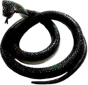 Buy EVOY Rubber Snakes Look Durable Snake Prank Toy & Gifts Snakes for ...