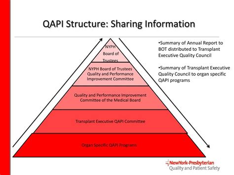 Image result for QAPI Cycle