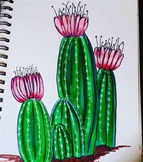 Easy Drawing Ideas Cactus at Sophie Catani blog