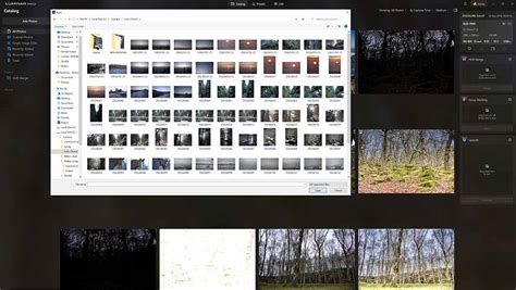 Image result for Luminar Neo Icon Folder