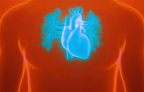 Pre-procedure CT imaging benefits left atrial appendage occlusion cases ...