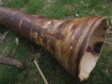 Didgeridoos — Kennedy Oneself