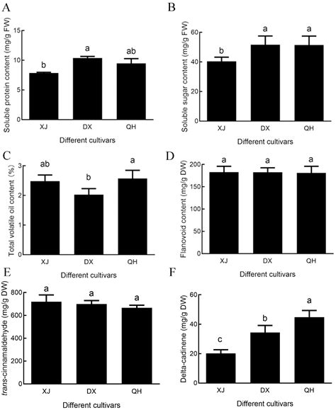 Comparative Analysis of Volatile Compounds and Characterization of Key ...