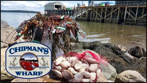 Perfect family run restaurant(lobster shack) for live seafood ...