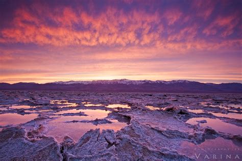 Simple Nature 的图像结果
