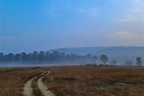 Snapshots From Panna National Park | Nature inFocus