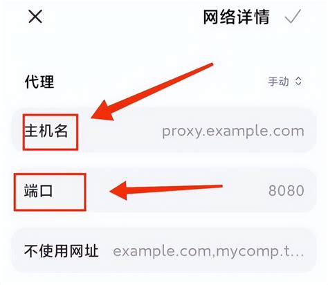 求个香港的代理IP地址？（香港ip代理服务器软件有哪些） - 世外云文章资讯