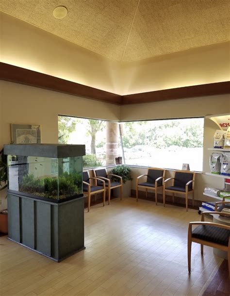 Gallery - Tuscawilla Animal Hospital | Great 5 Star Rated Winter ...